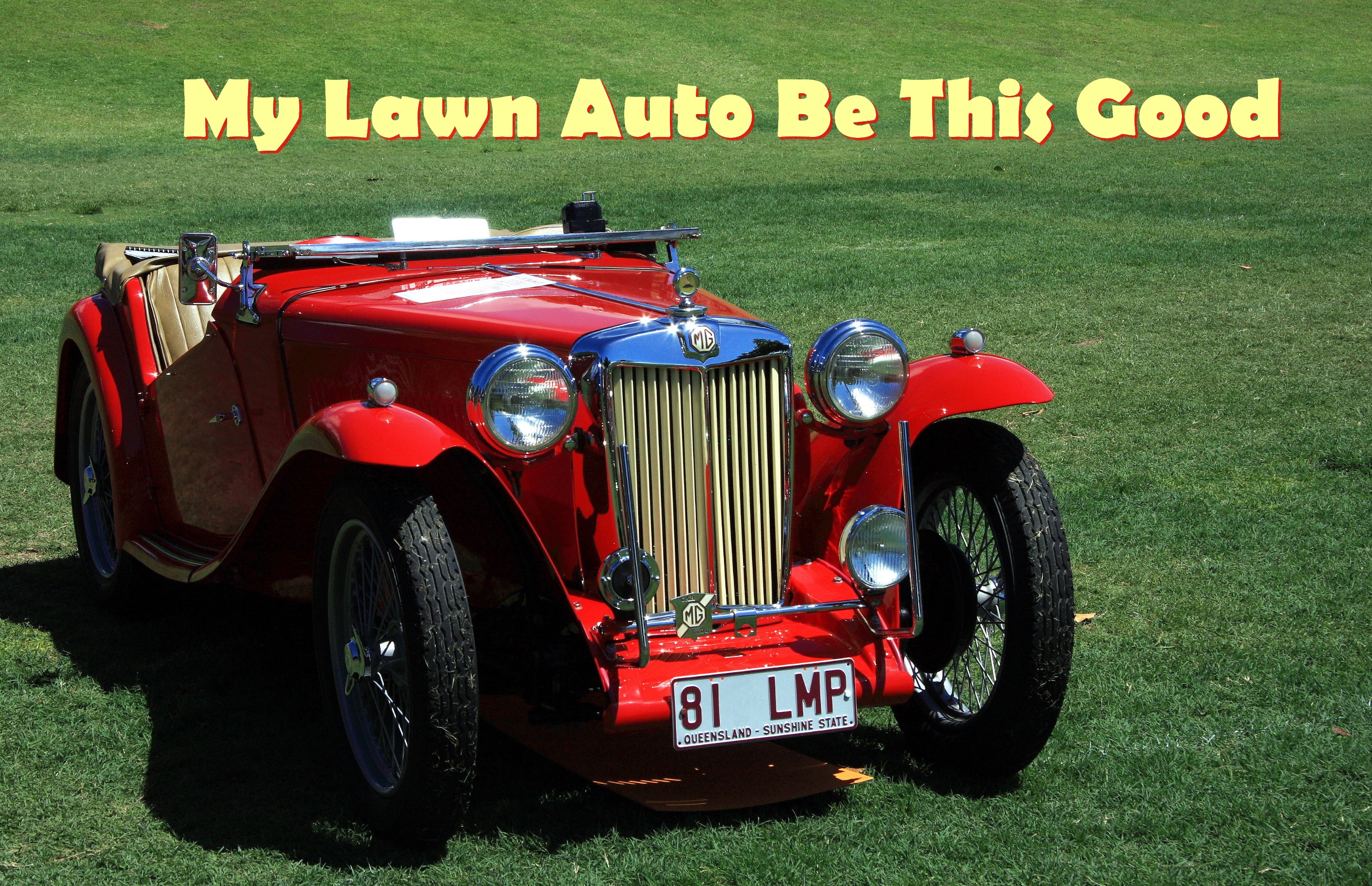 My Lawn Auto be This Good with Turf King Lawn Care